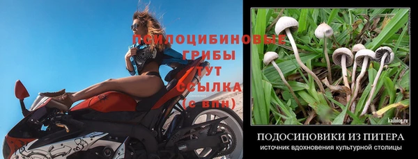 твердый Остров