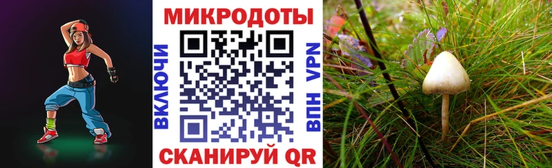 где купить наркотик  МЕГА вход  Псилоцибиновые грибы прущие грибы  Барабинск 