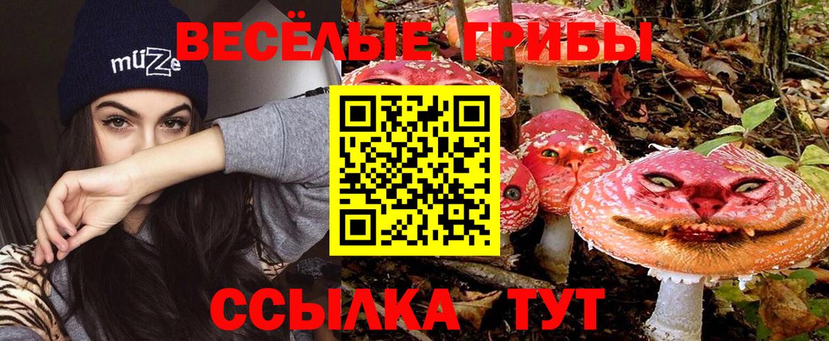 МЕТАДОН  Магазин наркотиков  ТГК  Меф МЯУ МЯУ   MDMA  МЕФ кристаллы  Барабинск  Конопля  A PVP СК кристаллы  ГАШ  МЕТАМФЕТАМИН 