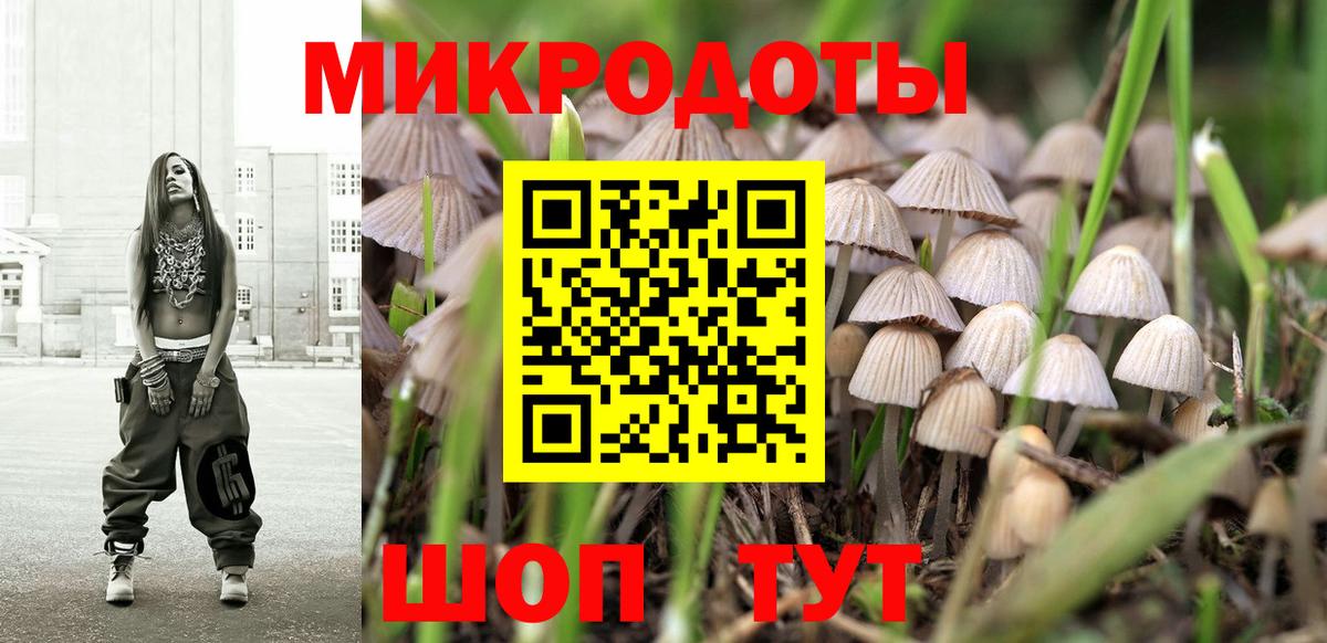 Галлюциногенные грибы Psilocybine cubensis Барабинск