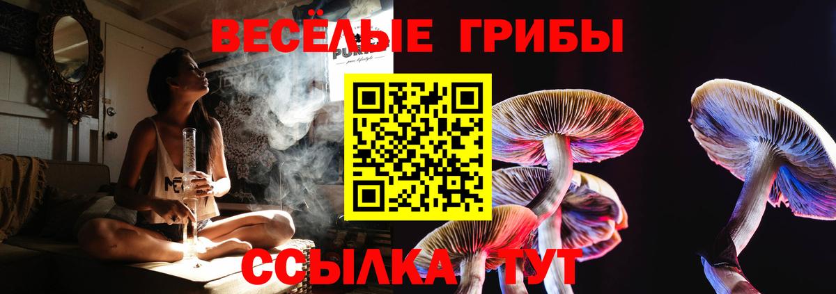 Галлюциногенные грибы прущие грибы  Вход с VPN  Псилоцибиновые грибы мухоморы  Барабинск 